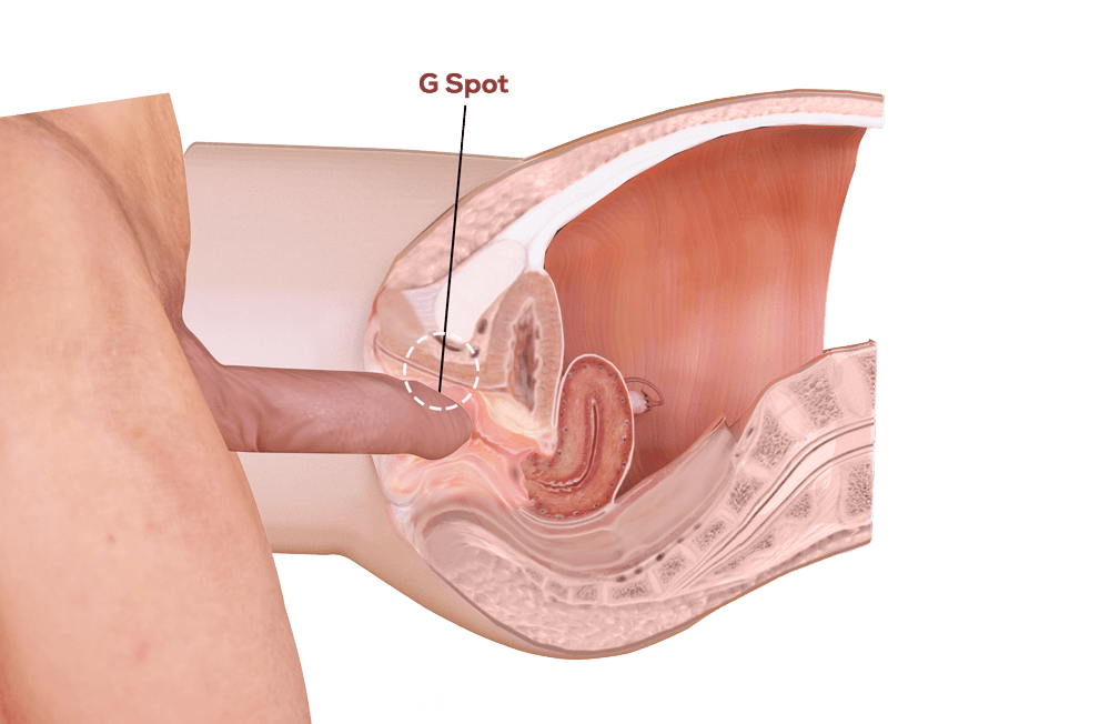 Korisna informacija: evo kako pravilno staviti penis u vaginu...